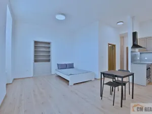 Pronájem bytu 1+kk, Olomouc - Hodolany, Holická, 42 m2