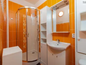 Pronájem bytu 2+1, Teplice - Řetenice, Buzulucká, 52 m2