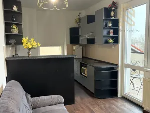 Pronájem bytu 3+1, Ústí nad Labem - Ústí nad Labem-centrum, Králova výšina, 105 m2