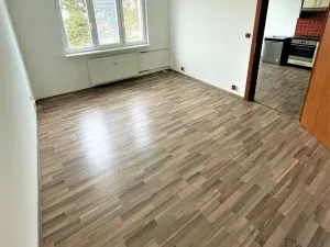 Pronájem bytu 1+1, Rakovník, U Křížku, 36 m2