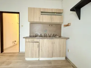 Pronájem bytu 1+kk, Plzeň - Jižní Předměstí, Havlíčkova, 21 m2