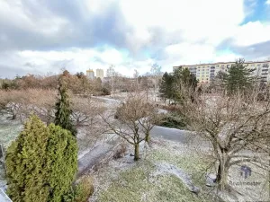 Prodej bytu 2+1, Ústí nad Labem - Severní Terasa, Pod Parkem, 63 m2