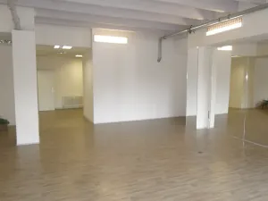 Pronájem komerční nemovitosti, Praha - Krč, Perlitová, 113 m2