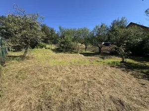 Prodej pozemku pro bydlení, Žlutava, 2701 m2