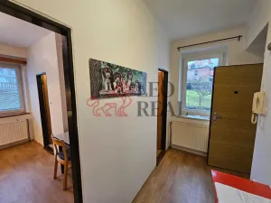 Prodej bytu 1+1, Nové Město nad Metují, Pod Výrovem, 42 m2