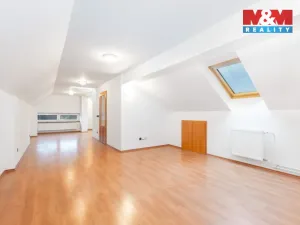 Prodej rodinného domu, Otice, Domky, 330 m2