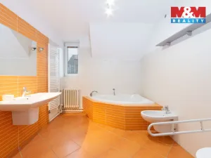 Prodej rodinného domu, Otice, Domky, 330 m2