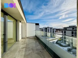 Pronájem kanceláře, Ostrava, F. X. Riepla, 115 m2