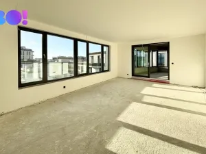 Pronájem bytu 5+kk, Ostrava, F. X. Riepla, 171 m2