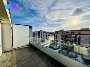 Pronájem bytu 5+kk, Ostrava, F. X. Riepla, 171 m2