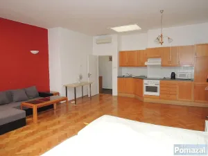 Pronájem bytu 1+kk, Praha - Staré Město, Národní, 50 m2