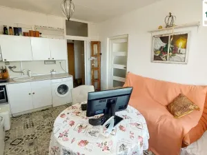 Prodej bytu 1+1, Plesná, Zahradní, 35 m2