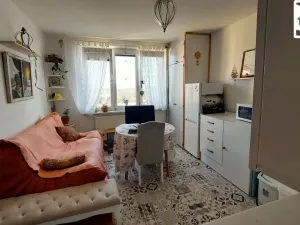 Prodej bytu 1+1, Plesná, Zahradní, 35 m2