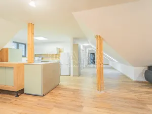 Pronájem bytu 4+kk, Srbsko, Nad Kapličkou, 180 m2