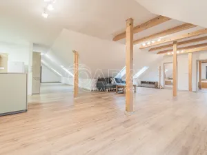 Pronájem bytu 4+kk, Srbsko, Nad Kapličkou, 180 m2