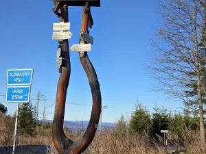 Prodej komerčního pozemku, Petrovice, 151 m2