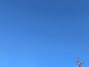 Prodej komerčního pozemku, Petrovice, 151 m2