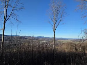 Prodej komerčního pozemku, Petrovice, 151 m2