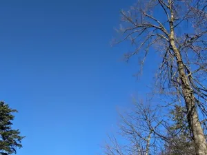 Prodej komerčního pozemku, Petrovice, 151 m2