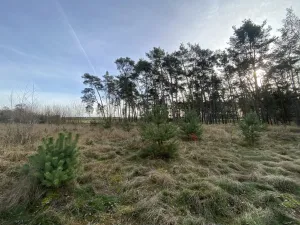 Prodej lesa, Kostelní Lhota, 9438 m2