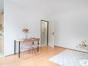 Pronájem bytu 1+kk, Pardubice, Prodloužená, 27 m2