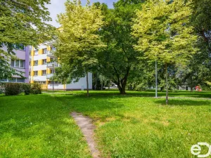 Pronájem bytu 1+kk, Pardubice, Prodloužená, 27 m2