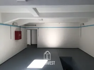 Pronájem výrobních prostor, Krásná Lípa, Nerudova, 51 m2