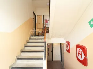 Pronájem bytu 2+1, Praha - Střešovice, Nový lesík, 55 m2