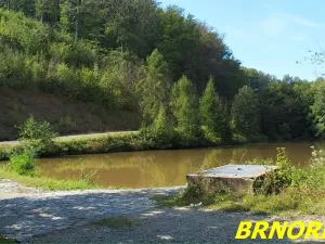 Prodej zahrady, Prštice, 515 m2