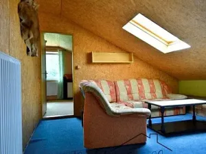 Prodej apartmánu, Hranice, 297 m2