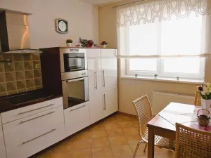 Pronájem bytu 2+1, České Budějovice, Vidovská, 62 m2