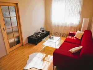 Pronájem bytu 2+1, České Budějovice, Vidovská, 62 m2