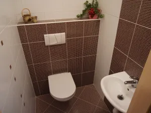 Pronájem bytu 2+1, České Budějovice, Vidovská, 62 m2