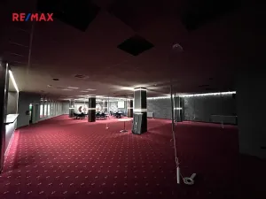 Pronájem obchodního prostoru, Liberec, Ježkova, 487 m2