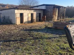 Prodej rodinného domu, Albrechtice, Mikulova, 200 m2