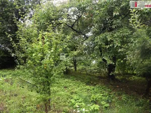 Prodej zahrady, Dobrovice, 636 m2