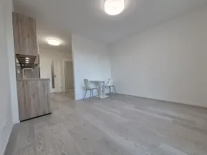 Pronájem bytu 1+kk, Brno, třída Generála Píky, 35 m2