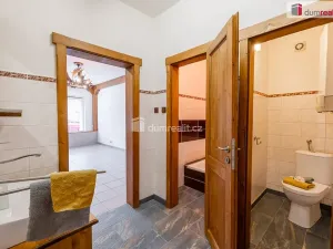 Pronájem obchodního prostoru, Mladá Boleslav, Viničná, 107 m2