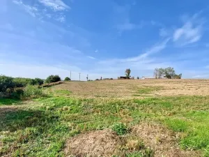 Prodej pozemku pro bydlení, Hrušovany u Brna, Pod Střediskem, 752 m2