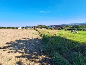 Prodej pozemku pro bydlení, Hrušovany u Brna, Pod Střediskem, 1169 m2