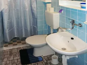 Prodej vícegeneračního domu, Praha - Michle, Pod Sychrovem I, 460 m2