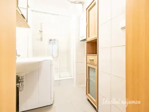 Pronájem bytu 2+kk, Praha - Vinohrady, Nitranská, 53 m2