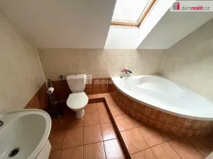 Pronájem ubytování, Uherské Hradiště - Mařatice, Jižní, 250 m2