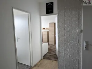 Pronájem bytu 2+kk, Bílina - Teplické Předměstí, Čapkova, 41 m2