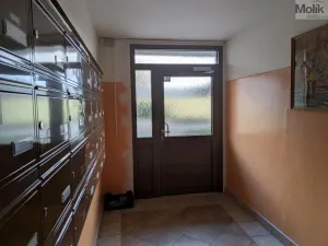 Pronájem bytu 2+kk, Bílina - Teplické Předměstí, Čapkova, 41 m2