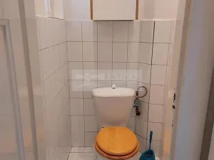 Pronájem bytu 1+1, Praha, U vysočanského pivovaru, 53 m2