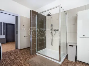 Prodej rodinného domu, Drahouš - Tlestky, 179 m2