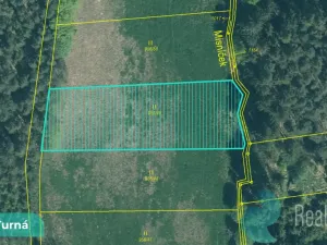 Prodej louky, Velká Turná, 2199 m2