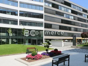 Pronájem kanceláře, Brno, 445 m2