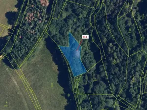 Dražba louky, Bouzov, 1043 m2